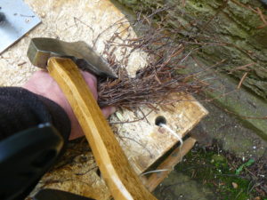 Trimming thin ends of twigs with axe